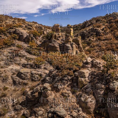 Altares de Piedra – Sierra Fría, Aguascalientes