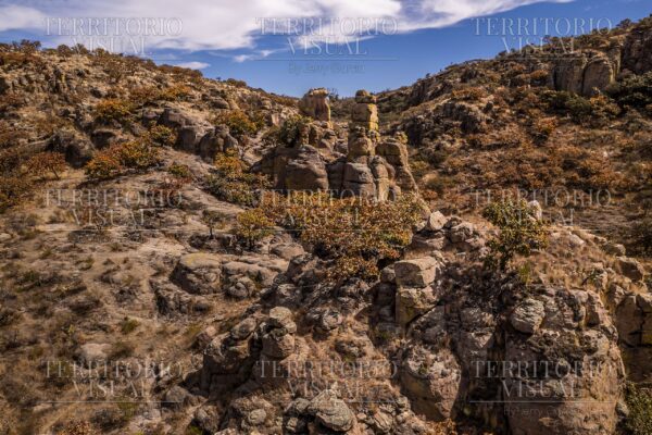Altares de Piedra – Sierra Fría, Aguascalientes
