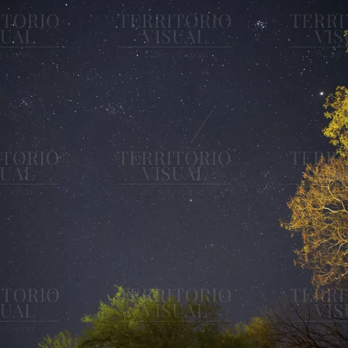 Raíces del Universo – Noche Estrellada en Nuevo León