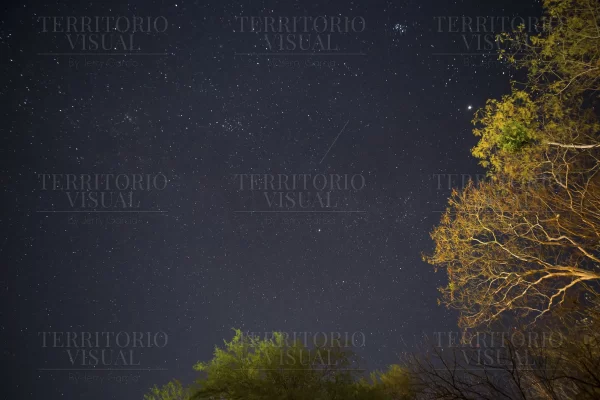 Raíces del Universo – Noche Estrellada en Nuevo León