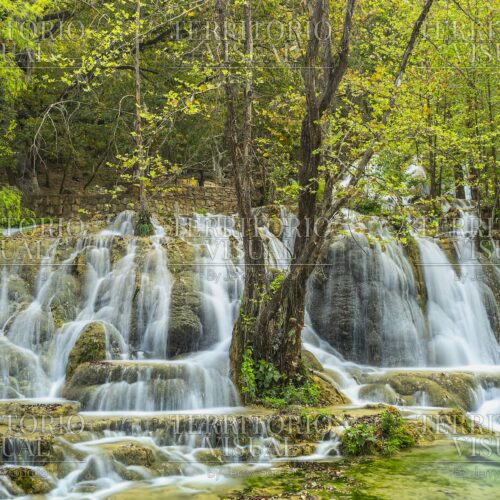 Raíz y Cascada – El Salto, Zaragoza, Nuevo León