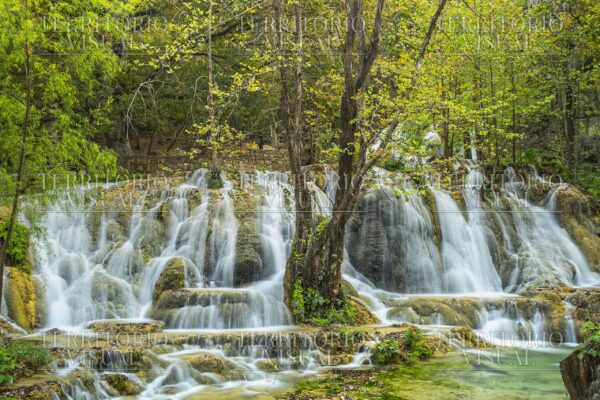 Raíz y Cascada – El Salto, Zaragoza, Nuevo León