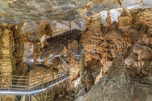 Ruta de Luz – Grutas de Bustamante