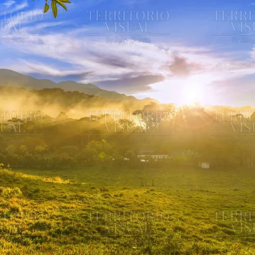 Bruma Dorada – Santiago, Nuevo León