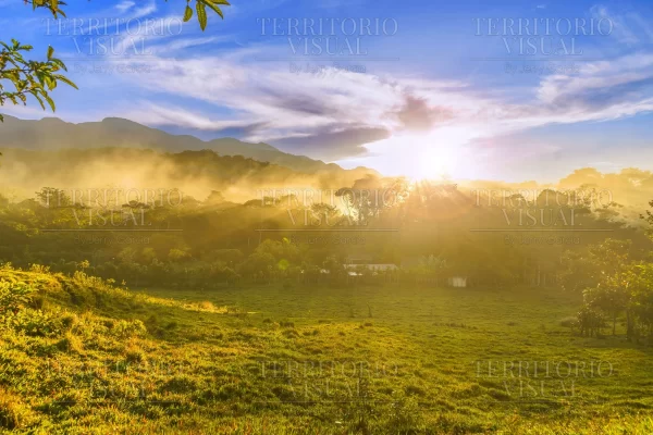 Bruma Dorada – Santiago, Nuevo León