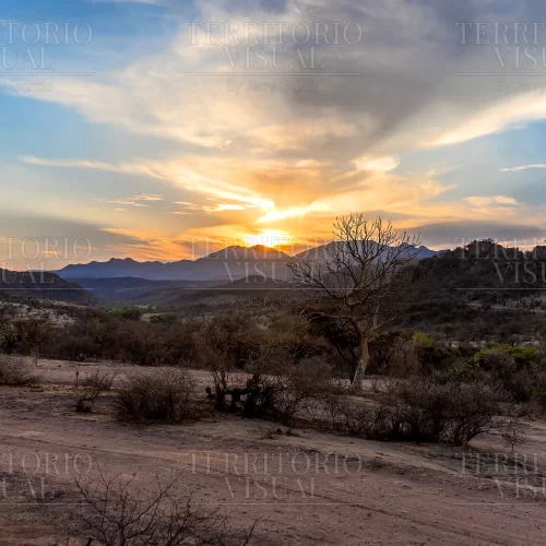 Raíz del Horizonte – Llanos del Norte, Nuevo León