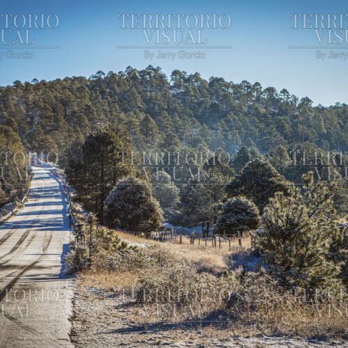 Camino Helado – Sierra de Chihuahua
