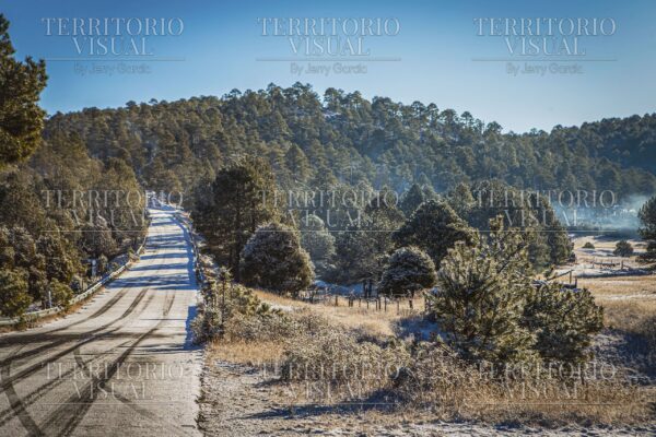Camino Helado – Sierra de Chihuahua