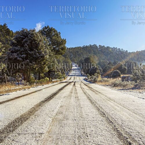 Huellas de Invierno – Sierra de Chihuahua