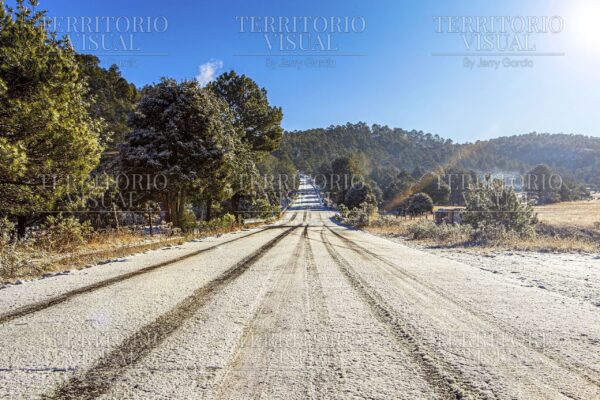 Huellas de Invierno – Sierra de Chihuahua