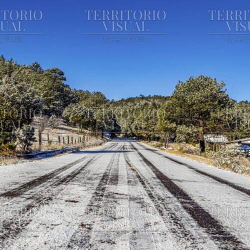 Refugio en el Camino – Sierra de Chihuahua