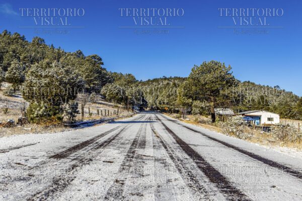 Refugio en el Camino – Sierra de Chihuahua