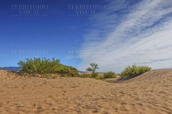 Horizonte de Arena – Dunas de Bilbao, Coahuila