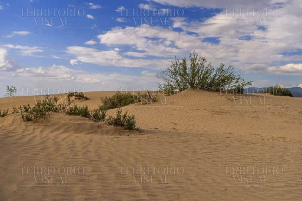 Horizonte Silente - Dunas de Bilbao, Coahuila