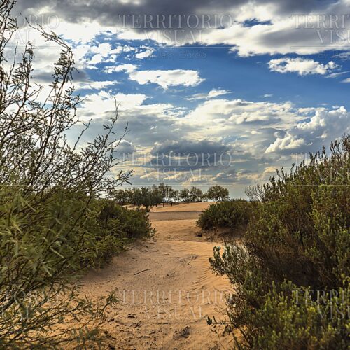 Umbral de Arena - Dunas de Bilbao, Coahuila