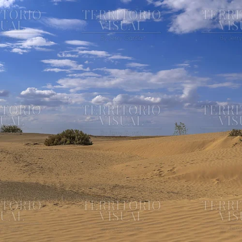 Extensión Serena - Dunas de Bilbao, Coahuila