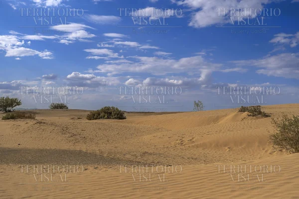 Extensión Serena - Dunas de Bilbao, Coahuila