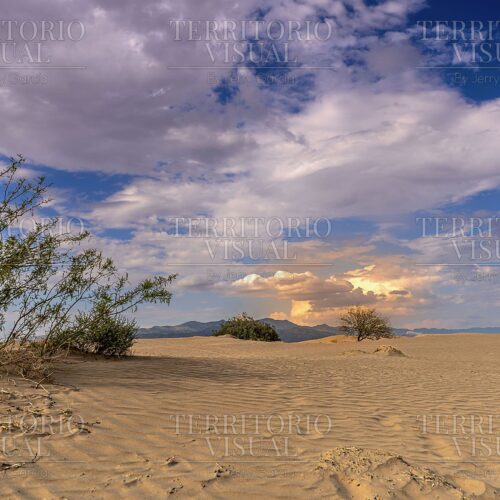 Luz en Tránsito - Dunas de Bilbao, Coahuila