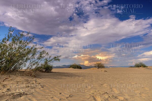 Luz en Tránsito - Dunas de Bilbao, Coahuila