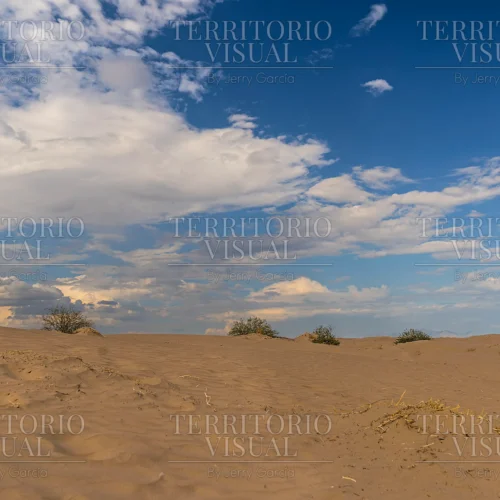 Calma Abierta - Dunas de Bilbao, Coahuila