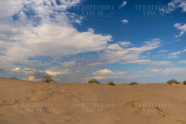 Calma Abierta - Dunas de Bilbao, Coahuila