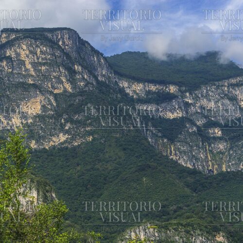 Muralla de Niebla - Sierra Madre, Santiago Nuevo León