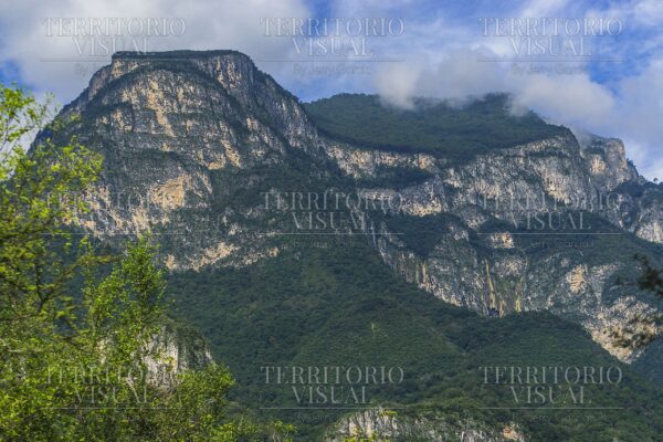 Muralla de Niebla - Sierra Madre, Santiago Nuevo León