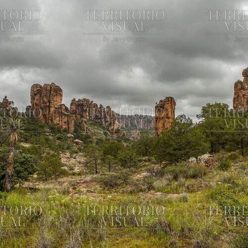 “Centinelas de la Tormenta” - Sierra de Órganos, Zacatecas