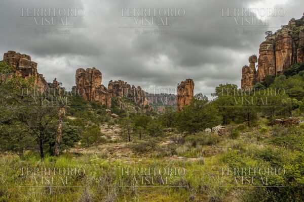 “Centinelas de la Tormenta” - Sierra de Órganos, Zacatecas