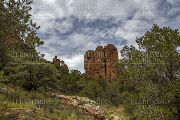 Ruta de los Colosos - Sierra de Órganos, Zacatecas