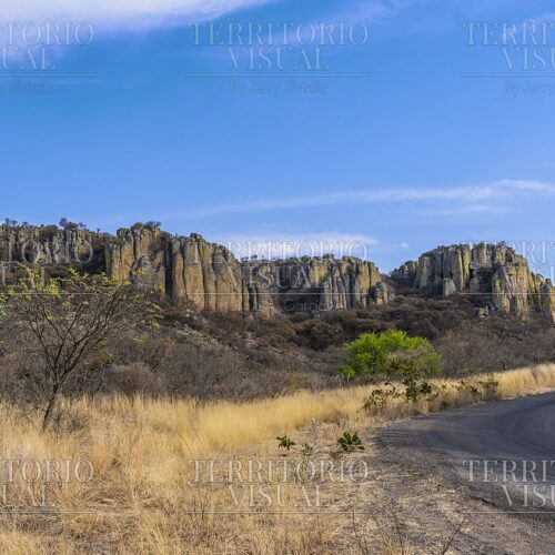 Ruta de Gigantes - Tapias Viejas, Aguascalientes