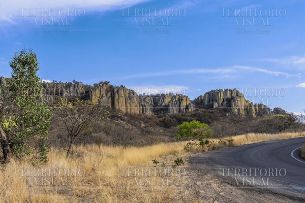 Ruta de Gigantes - Tapias Viejas, Aguascalientes