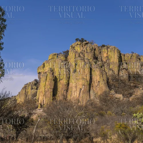 Pilares del Tiempo - Tapias Viejas, Aguascalientes