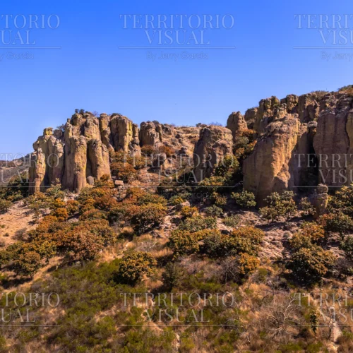 Guardia de Piedra - Tapias Viejas, Aguascalientes