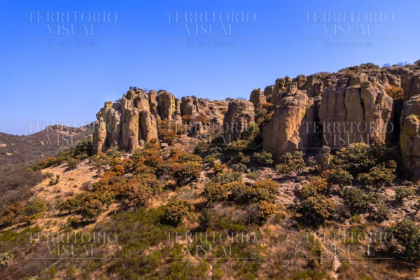 Guardia de Piedra - Tapias Viejas, Aguascalientes