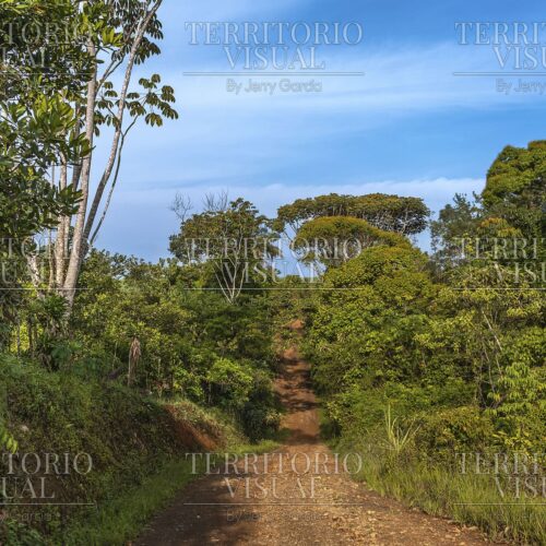Ascenso Verde - Pérez Zeledón, Costa Rica