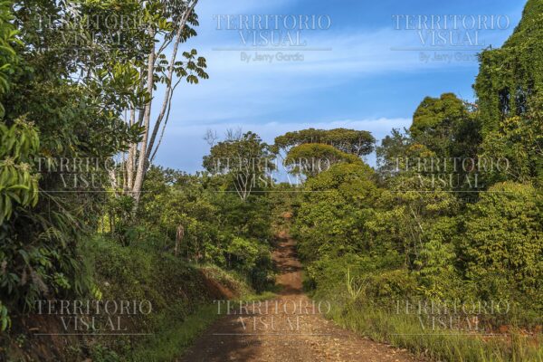 Ascenso Verde - Pérez Zeledón, Costa Rica