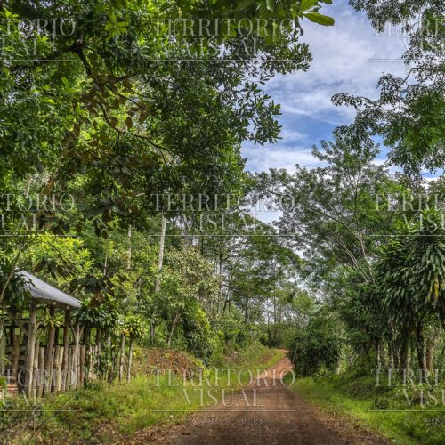 Camino Habitado - Pérez Zeledón, Costa Rica