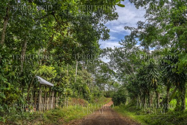 Camino Habitado - Pérez Zeledón, Costa Rica