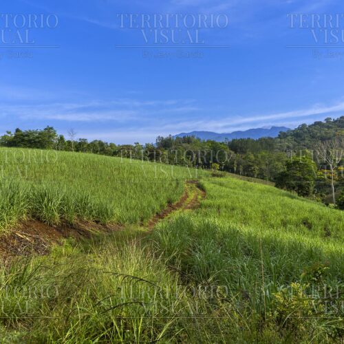 Camino Verde- Pérez Zeledón, Costa Rica