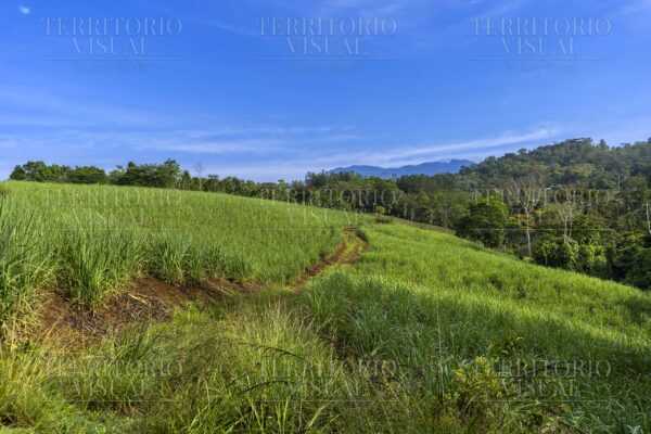Camino Verde- Pérez Zeledón, Costa Rica