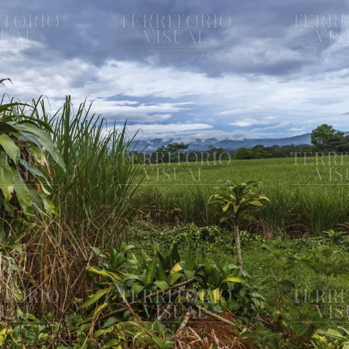 Antes de la Lluvia - Pérez Zeledón, Costa Rica