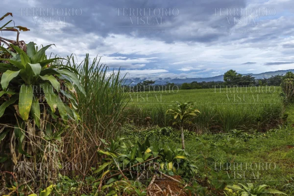 Antes de la Lluvia - Pérez Zeledón, Costa Rica