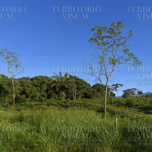 Dualidad Serena - Pérez Zeledón, Costa Rica
