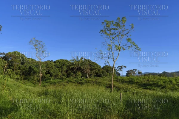 Dualidad Serena - Pérez Zeledón, Costa Rica