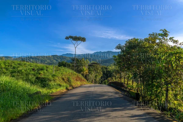 Ruta del horizonte - Pérez Zeledón Costa Rica