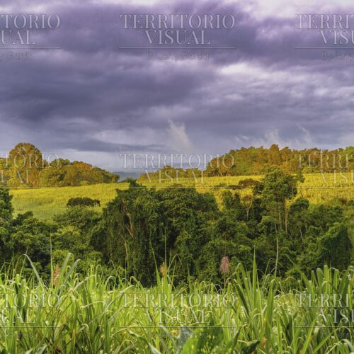 Luz antes de la tormenta - Pérez Zeledón, Costa Rica