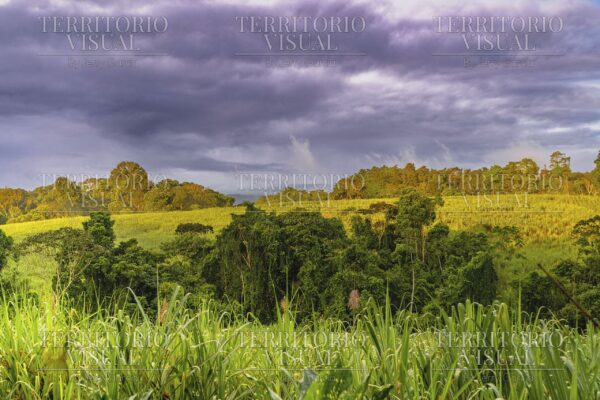 Luz antes de la tormenta - Pérez Zeledón, Costa Rica