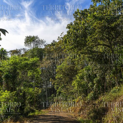 Sendero Interior - Pérez Zeledón, Costa Rica