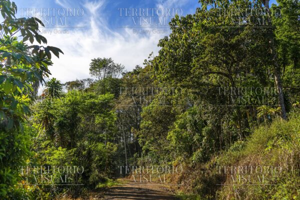 Sendero Interior - Pérez Zeledón, Costa Rica